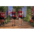 Team 04 / Raid Amazones Sri Lanka 2022 - J3 Bike Run