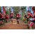 Team 33 / Raid Amazones Sri Lanka 2022 - J3 Bike Run