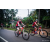 Team 301 / Raid Amazones Sri Lanka 2022 - J3 Bike Run
