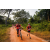 Team 313 / Raid Amazones Sri Lanka 2022 - J3 Bike Run