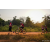 Team 40 / Raid Amazones Sri Lanka 2022 - J3 Bike Run