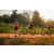 Team 326 / Raid Amazones Sri Lanka 2022 - J3 Bike Run