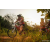 Team 13 / Raid Amazones Sri Lanka 2022 - J3 Bike Run