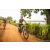 Team 312 / Raid Amazones Sri Lanka 2022 - J3 Bike Run