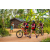 Team 331 / Raid Amazones Sri Lanka 2022 - J3 Bike Run