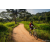 Team 333 / Raid Amazones Sri Lanka 2022 - J3 Bike Run