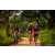 Team 331 / Raid Amazones Sri Lanka 2022 - J3 Bike Run