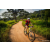 Team 302 / Raid Amazones Sri Lanka 2022 - J3 Bike Run
