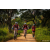 Team 309 / Raid Amazones Sri Lanka 2022 - J3 Bike Run