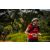 Team 303 / Raid Amazones Sri Lanka 2022 - J3 Bike Run