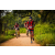 Team 312 / Raid Amazones Sri Lanka 2022 - J3 Bike Run