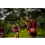Team 312 / Raid Amazones Sri Lanka 2022 - J3 Bike Run