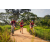 Team 315 / Raid Amazones Sri Lanka 2022 - J3 Bike Run