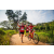 Team 34 / Raid Amazones Sri Lanka 2022 - J3 Bike Run