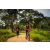 Team 35 / Raid Amazones Sri Lanka 2022 - J3 Bike Run