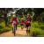 Team 11 / Raid Amazones Sri Lanka 2022 - J3 Bike Run