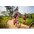Team 332 / Raid Amazones Sri Lanka 2022 - J3 Bike Run