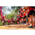 Team 63 / Raid Amazones Sri Lanka 2022 - J3 Bike Run