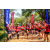 Team 63 / Raid Amazones Sri Lanka 2022 - J3 Bike Run