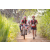 Team 77 / Raid Amazones Sri Lanka 2022 - J3 Bike Run
