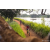 Team 333 / Raid Amazones Sri Lanka 2022 - J3 Bike Run