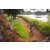 Team 07 / Raid Amazones Sri Lanka 2022 - J3 Bike Run