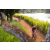 Team 303 / Raid Amazones Sri Lanka 2022 - J3 Bike Run