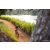 Team 303 / Raid Amazones Sri Lanka 2022 - J3 Bike Run