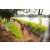 Team 301 / Raid Amazones Sri Lanka 2022 - J3 Bike Run