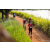 Team 302 / Raid Amazones Sri Lanka 2022 - J3 Bike Run