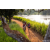 Team 331 / Raid Amazones Sri Lanka 2022 - J3 Bike Run