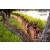 Team 325 / Raid Amazones Sri Lanka 2022 - J3 Bike Run