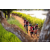 Team 321 / Raid Amazones Sri Lanka 2022 - J3 Bike Run