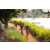 Team 312 / Raid Amazones Sri Lanka 2022 - J3 Bike Run