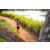 Team 320 / Raid Amazones Sri Lanka 2022 - J3 Bike Run