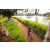 Team 27 / Raid Amazones Sri Lanka 2022 - J3 Bike Run