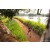 Team 27 / Raid Amazones Sri Lanka 2022 - J3 Bike Run