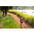 Team 41 / Raid Amazones Sri Lanka 2022 - J3 Bike Run