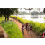 Team 14 / Raid Amazones Sri Lanka 2022 - J3 Bike Run