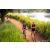 Team 69 / Raid Amazones Sri Lanka 2022 - J3 Bike Run