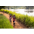 Team 02 / Raid Amazones Sri Lanka 2022 - J3 Bike Run