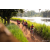 Team 10 / Raid Amazones Sri Lanka 2022 - J3 Bike Run