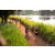Team 20 / Raid Amazones Sri Lanka 2022 - J3 Bike Run