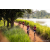 Team 71 / Raid Amazones Sri Lanka 2022 - J3 Bike Run