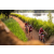 Team 34 / Raid Amazones Sri Lanka 2022 - J3 Bike Run