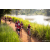 Team 74 / Raid Amazones Sri Lanka 2022 - J3 Bike Run