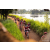 Team 78 / Raid Amazones Sri Lanka 2022 - J3 Bike Run