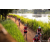 Team 78 / Raid Amazones Sri Lanka 2022 - J3 Bike Run