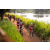 Team 11 / Raid Amazones Sri Lanka 2022 - J3 Bike Run