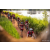 Team 49 / Raid Amazones Sri Lanka 2022 - J3 Bike Run